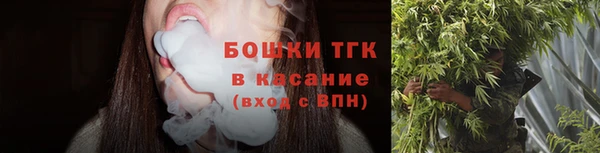 прущие крисы Арсеньев