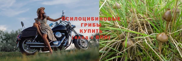 спайс Аркадак