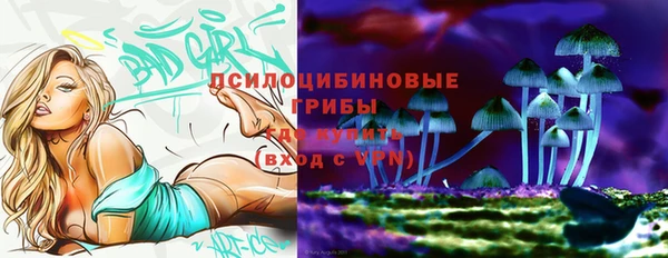 прущие крисы Арсеньев