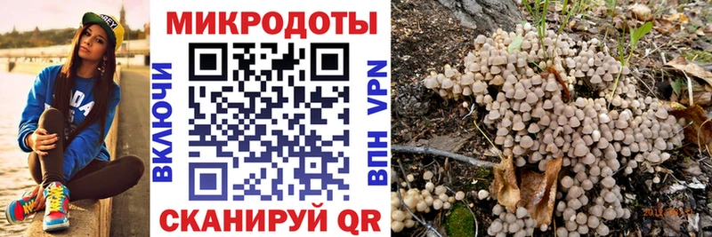 Галлюциногенные грибы GOLDEN TEACHER  kraken ТОР  Полярный  купить закладку 